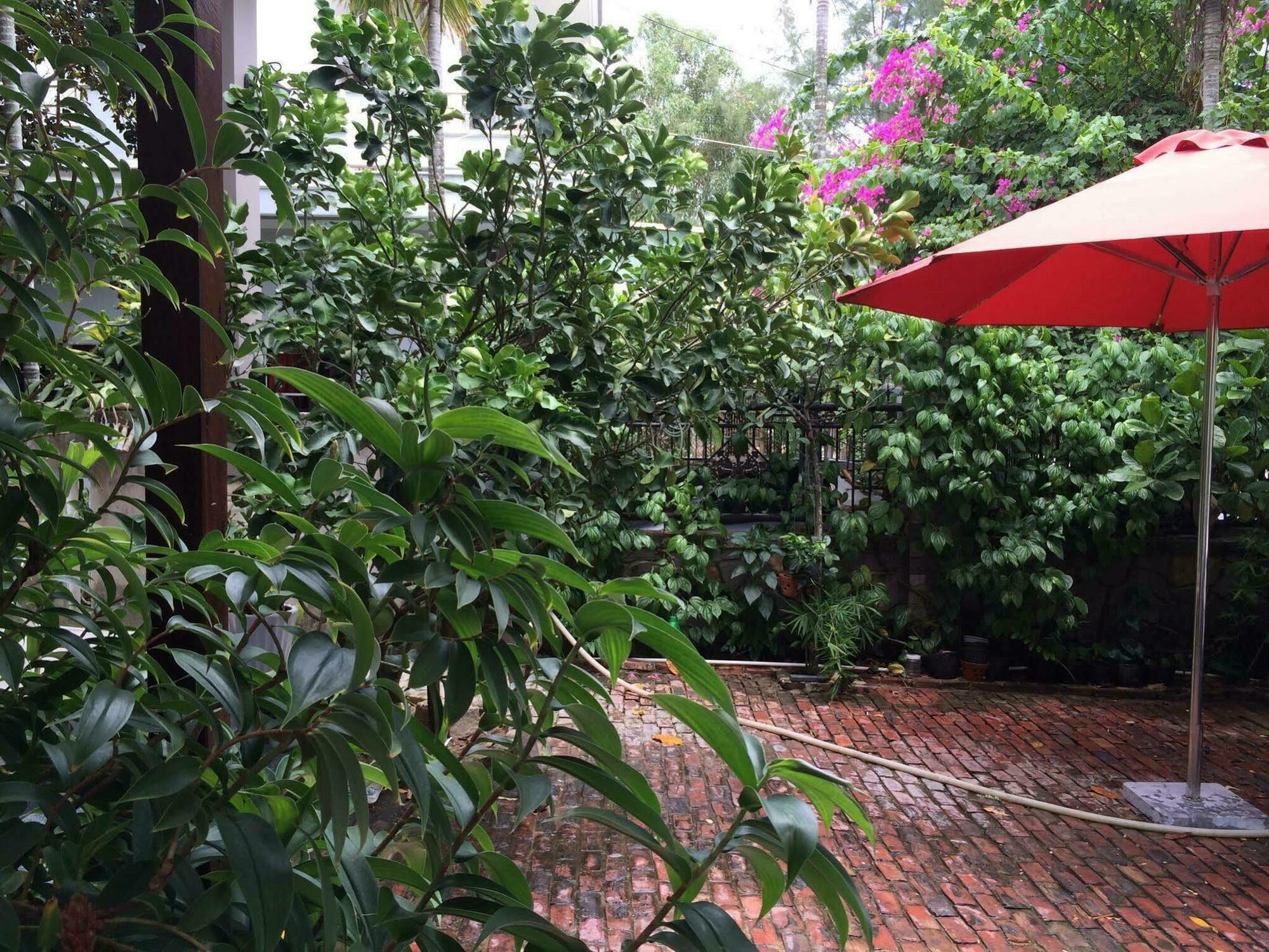 Mama'S House Hoi An Homestay 外观 照片